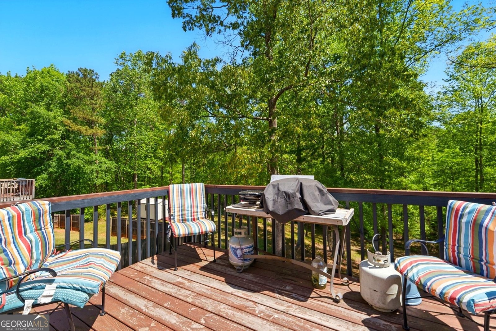1010 Augusta Woods Drive Douglasville - 24
