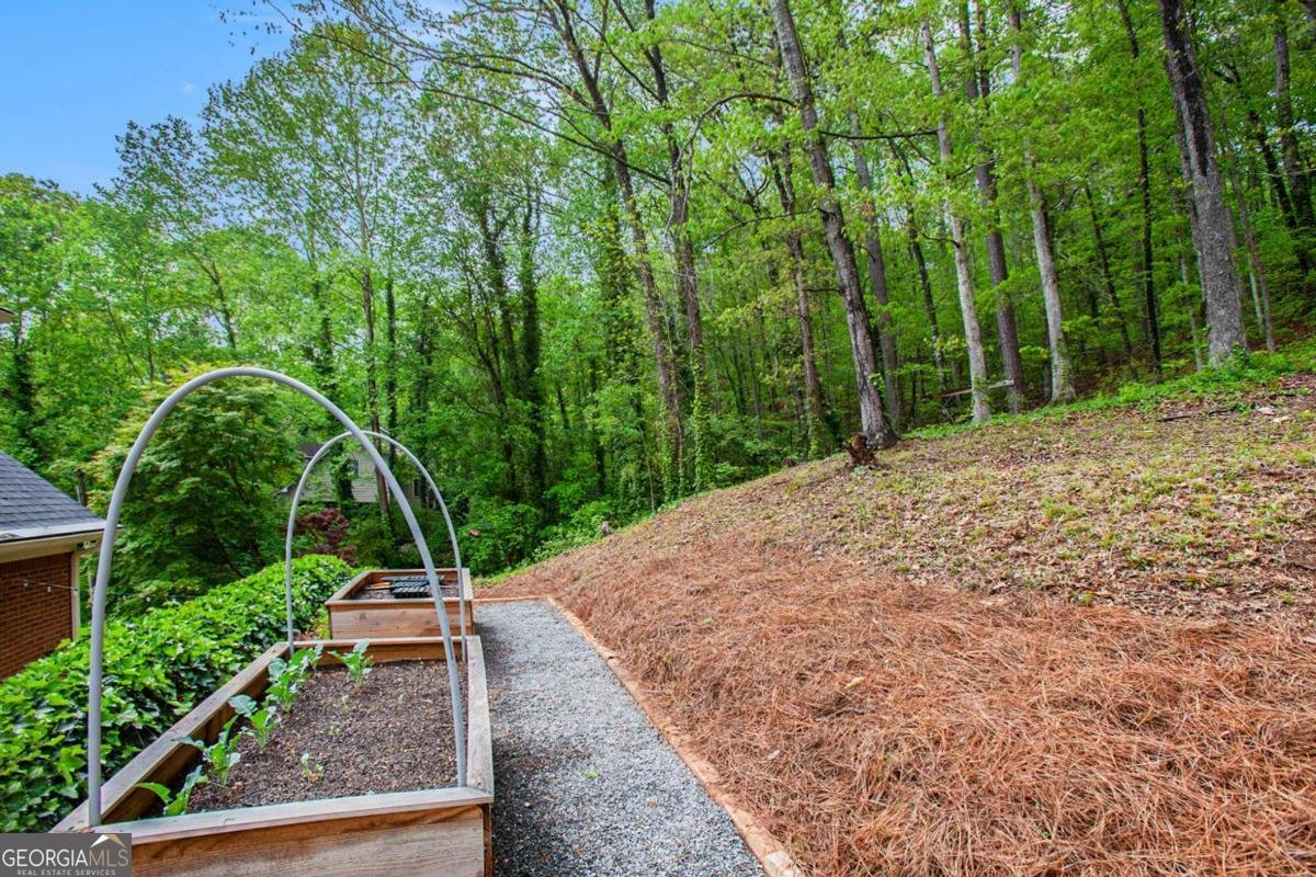 297 Breeze Hill Lane Canton - 35