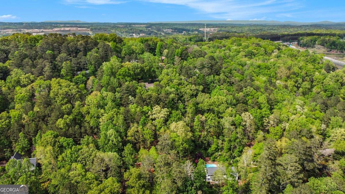297 Breeze Hill Lane Canton - 37