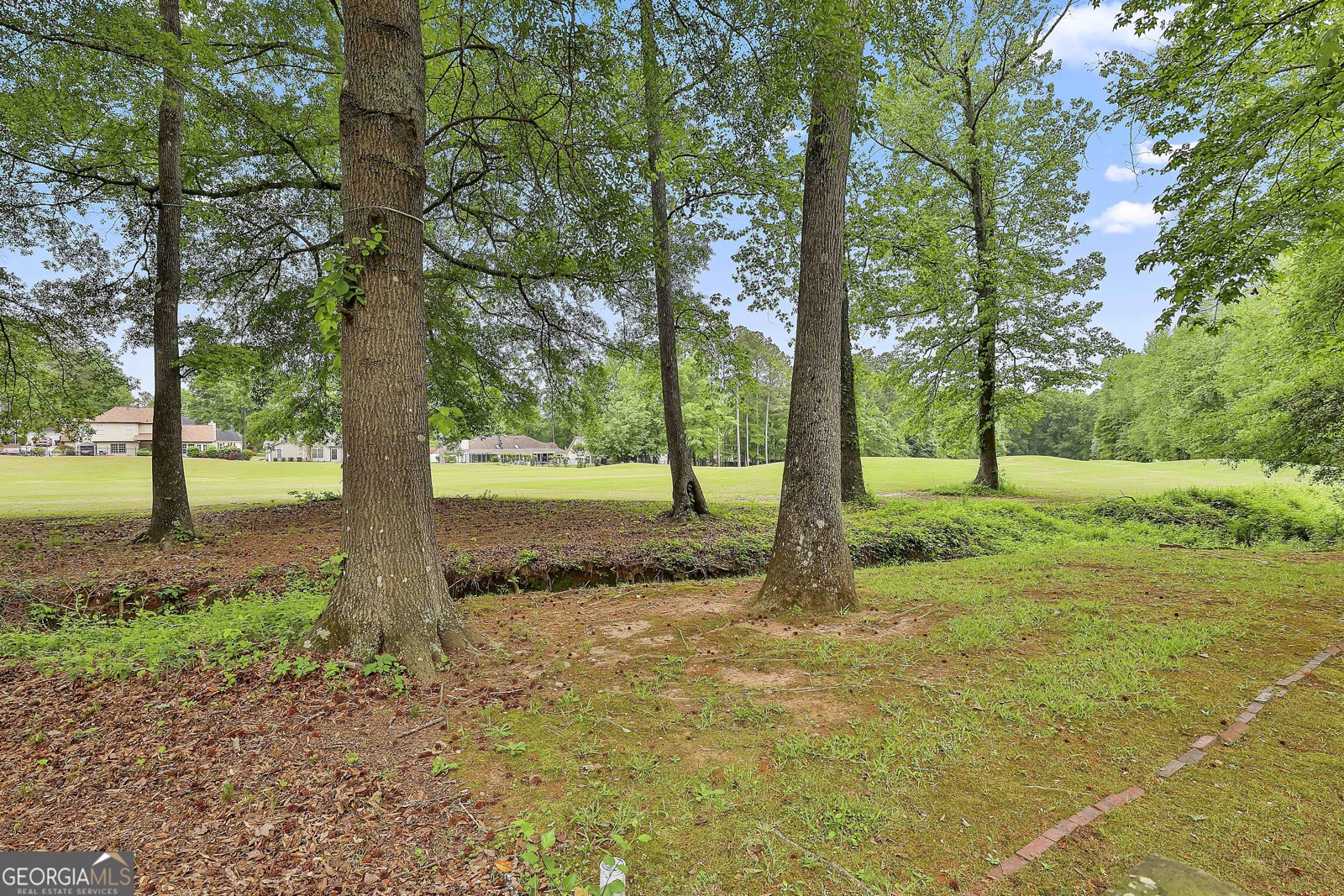 215 Calgary Dr. Peachtree City - 49