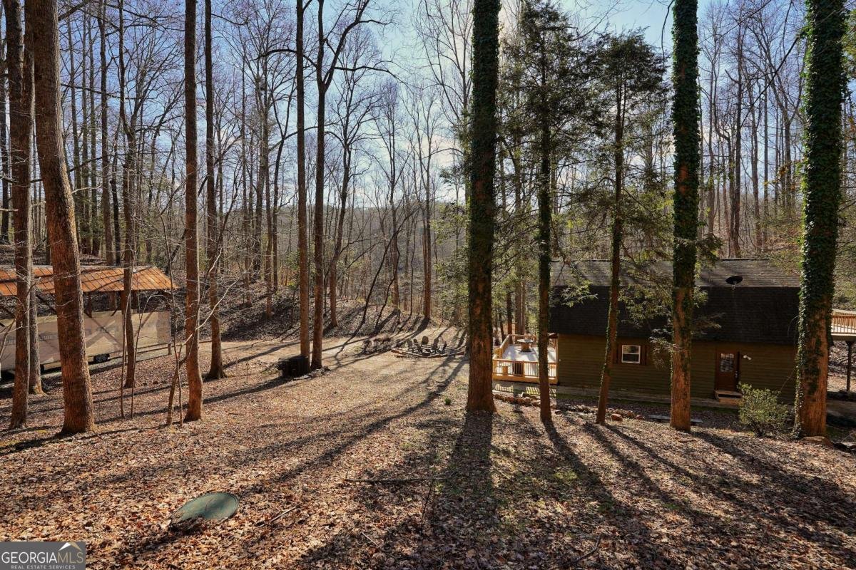 172 Sweetwater Road Blue Ridge - 44