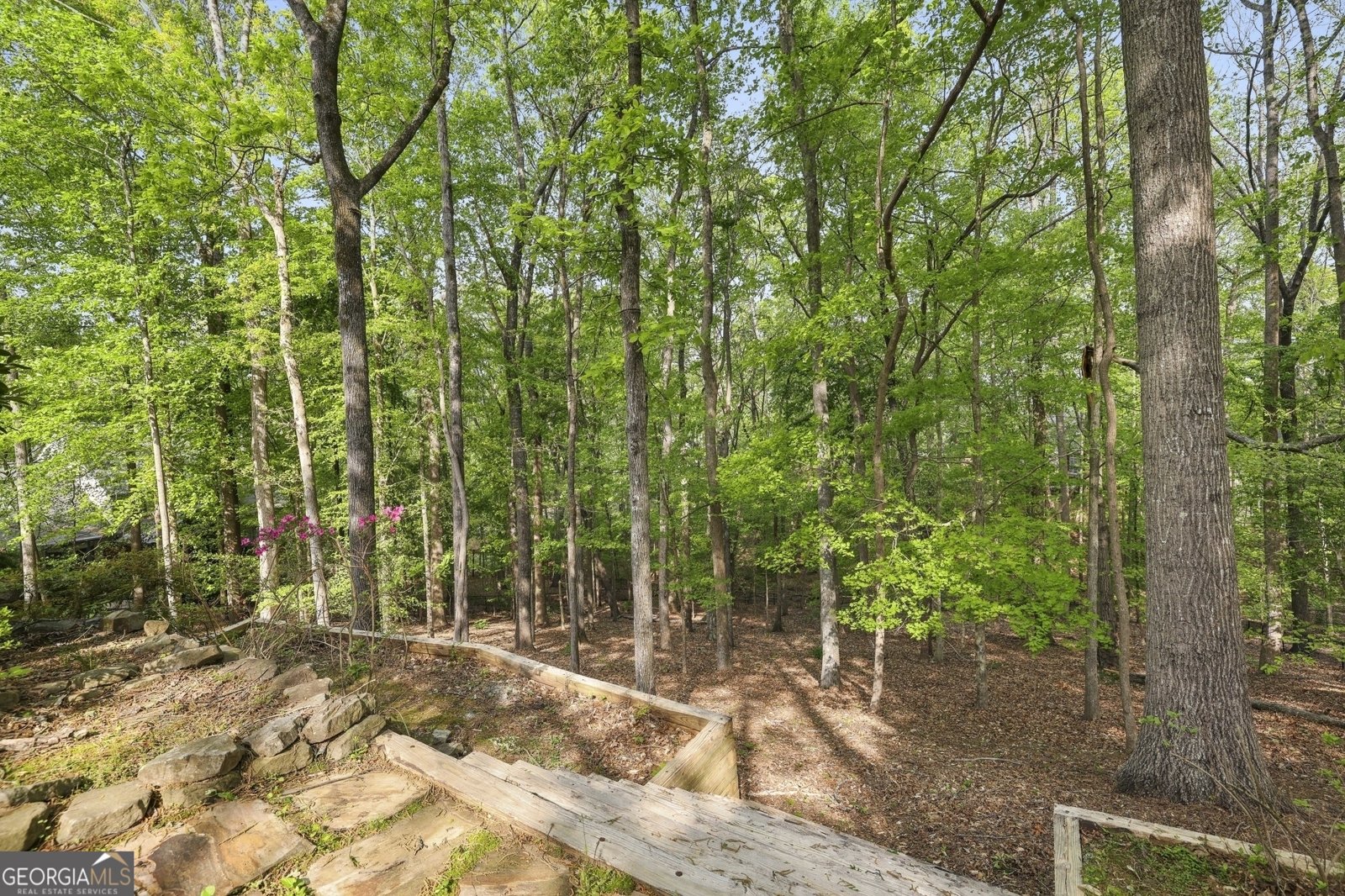 2975 Coles Way Atlanta - 52