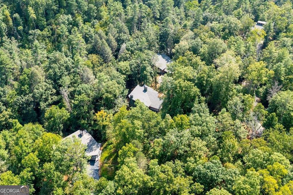 414 Watersong Trail Ellijay - 55
