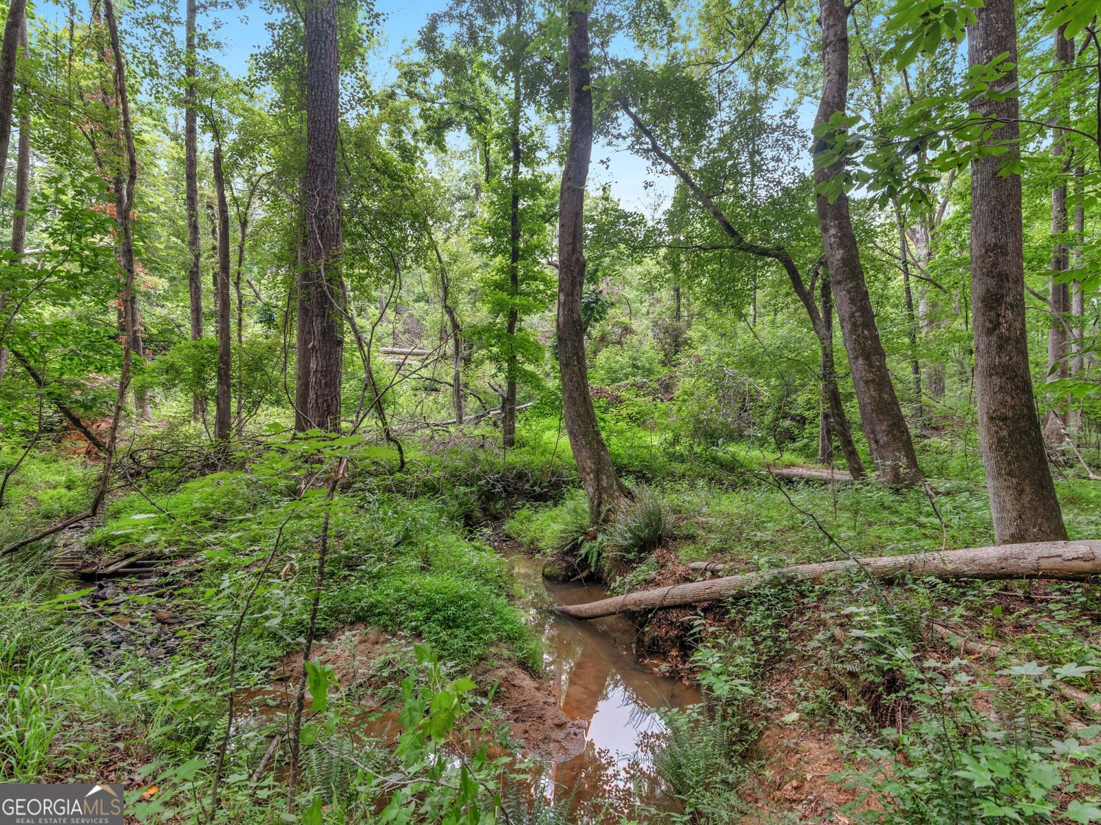 930 Singley Drive Locust Grove - 51