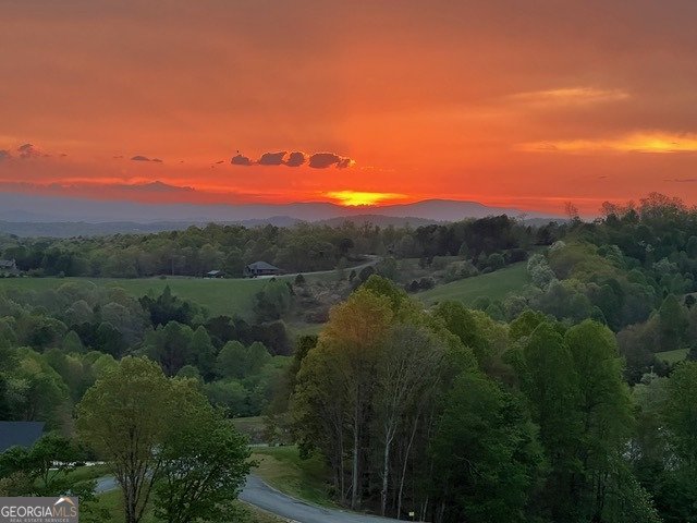 95 Upper Ridge Trail Morganton - 2