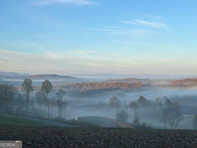 95 Upper Ridge Trail Morganton - 62