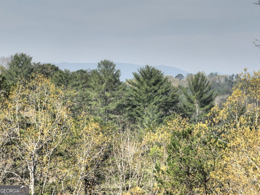 143 Bailey Circle Mineral Bluff - 52