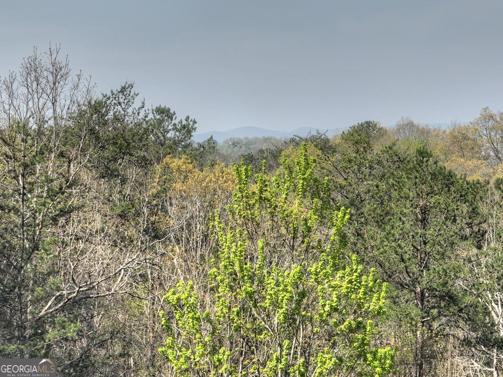 143 Bailey Circle Mineral Bluff - 53