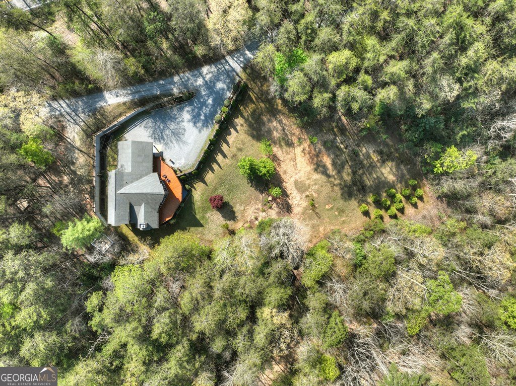 143 Bailey Circle Mineral Bluff - 55