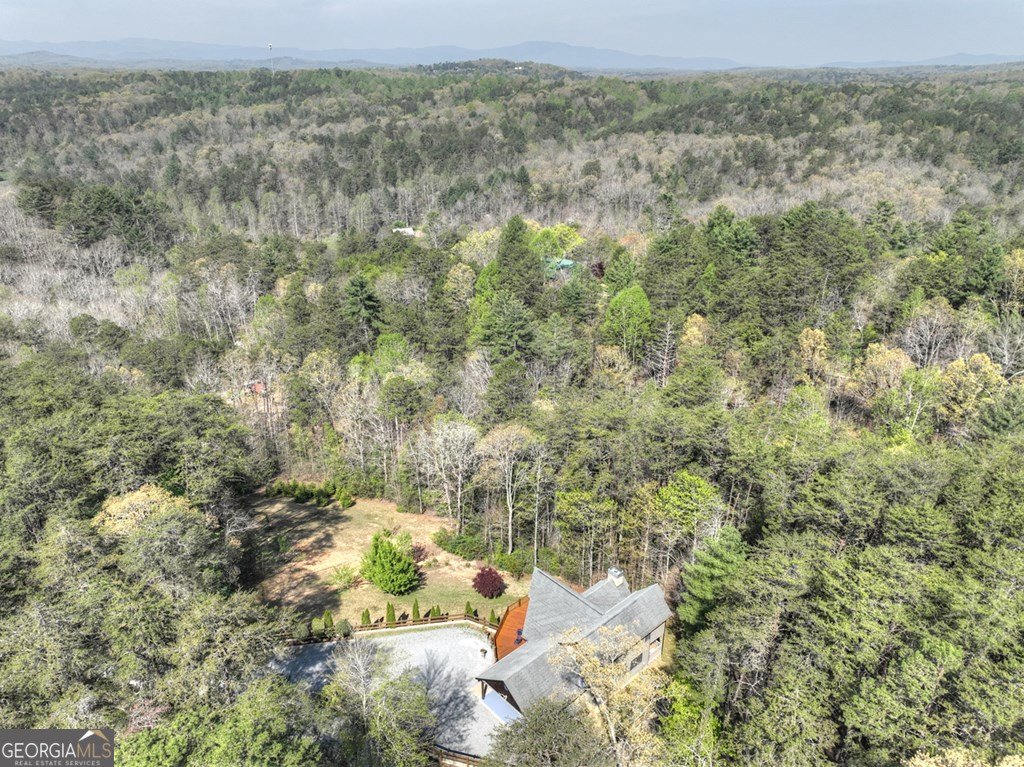 143 Bailey Circle Mineral Bluff - 56