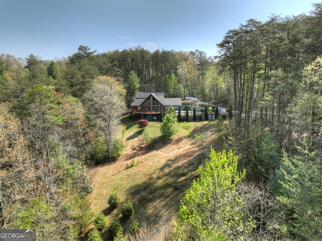 143 Bailey Circle Mineral Bluff - 59