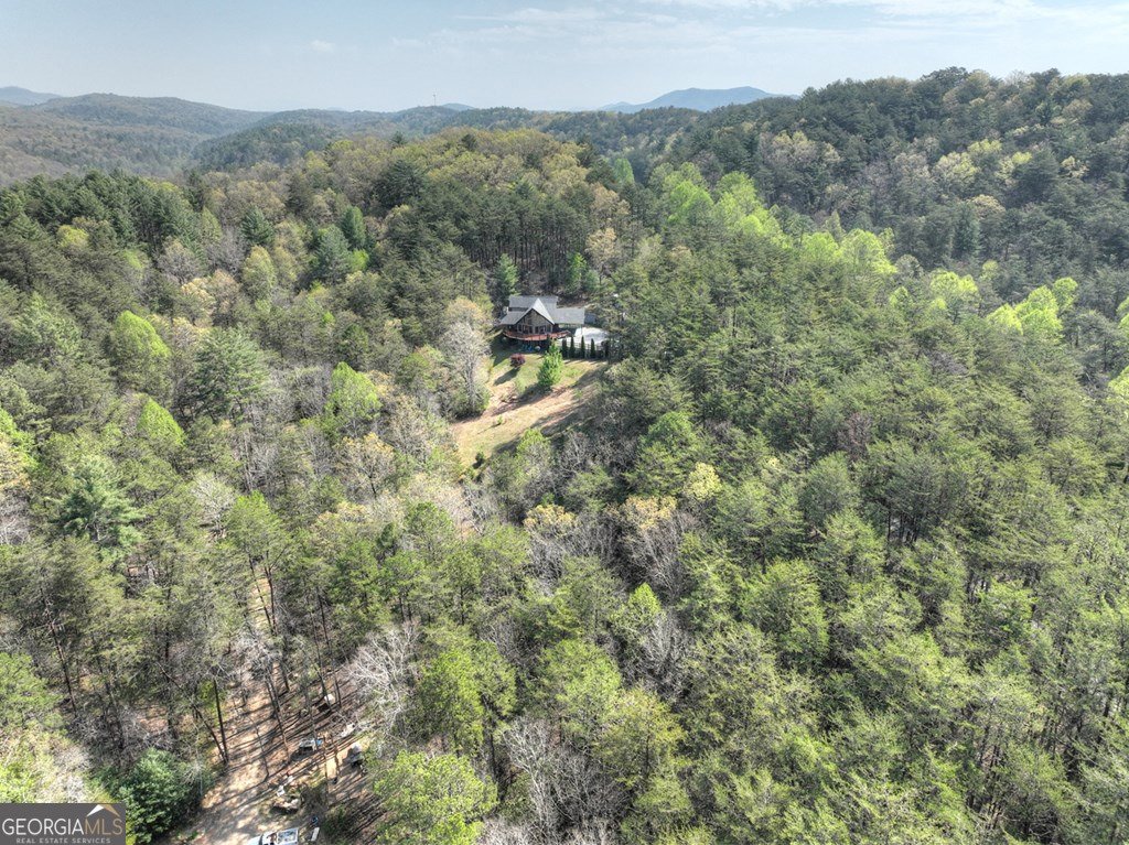 143 Bailey Circle Mineral Bluff - 62