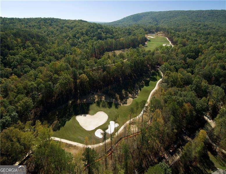 117 Franklin Elm Court Waleska - 28