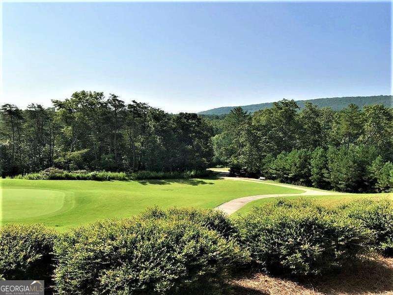 117 Franklin Elm Court Waleska - 31