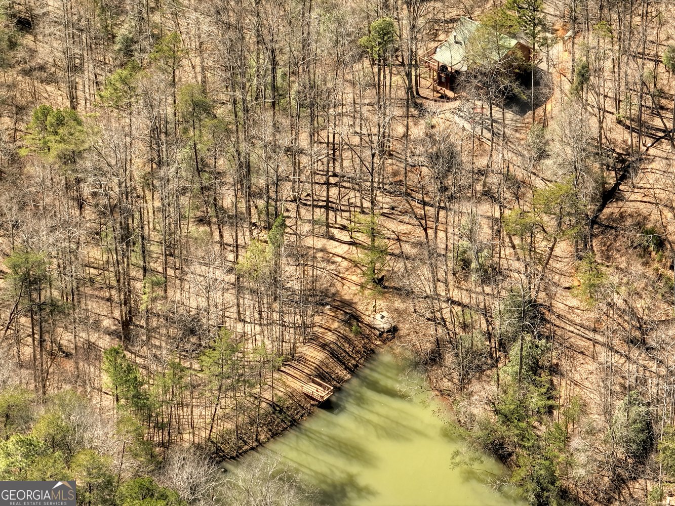 638 Cohutta Mountain Road Blue Ridge - 49