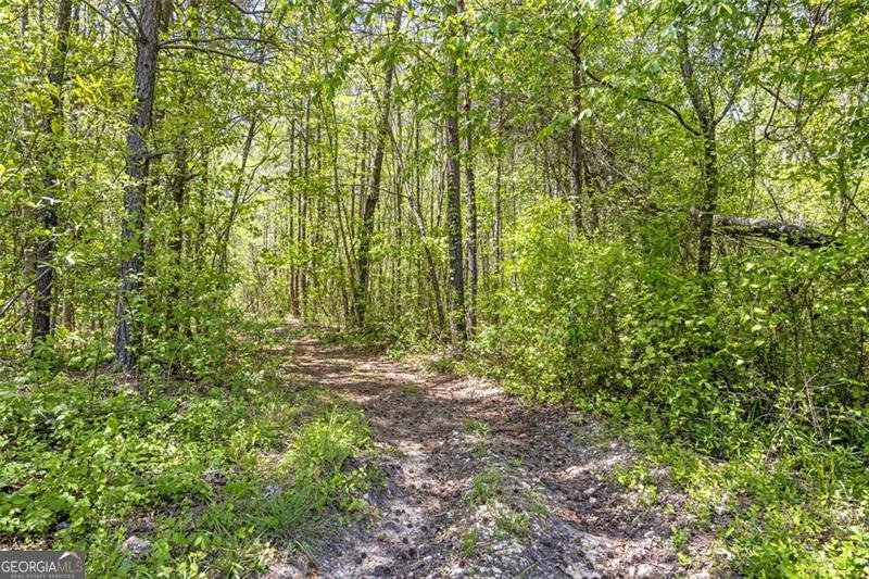 225 HAMRICK Road Bremen - 1