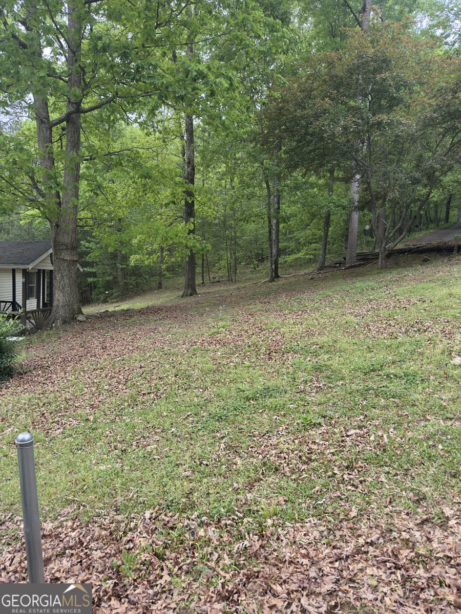 492 Garmon Road Cedartown - 7