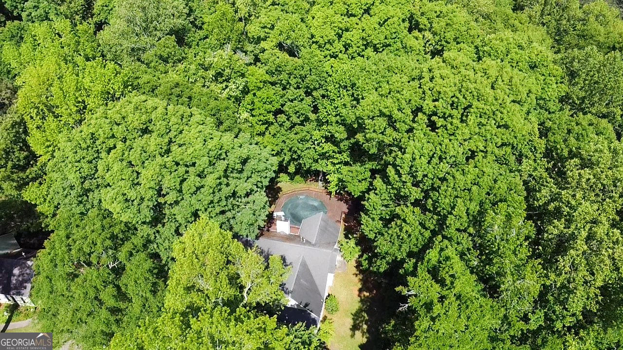 139 Crown Forest Drive McDonough - 57