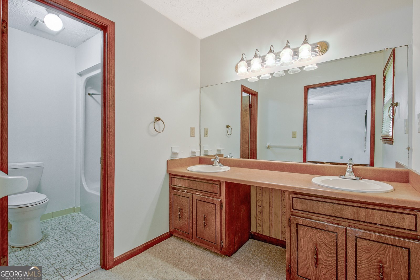 110 Silver Leaf Drive Fayetteville - 28