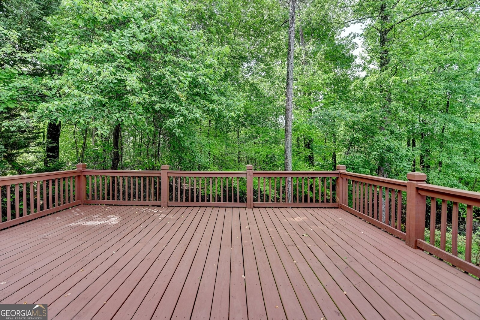 5195 Stefan Ridge Way Buford - 78