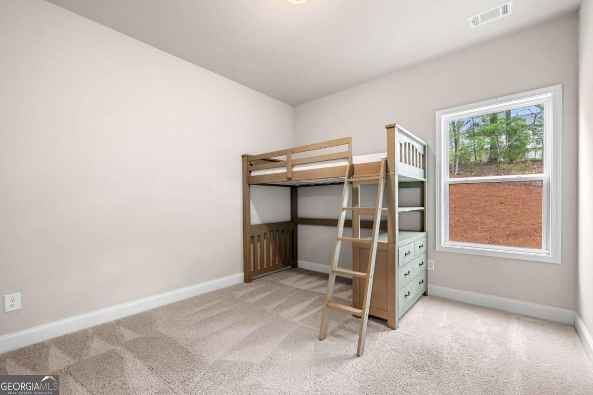8230 Dawson View Way Cumming - 23