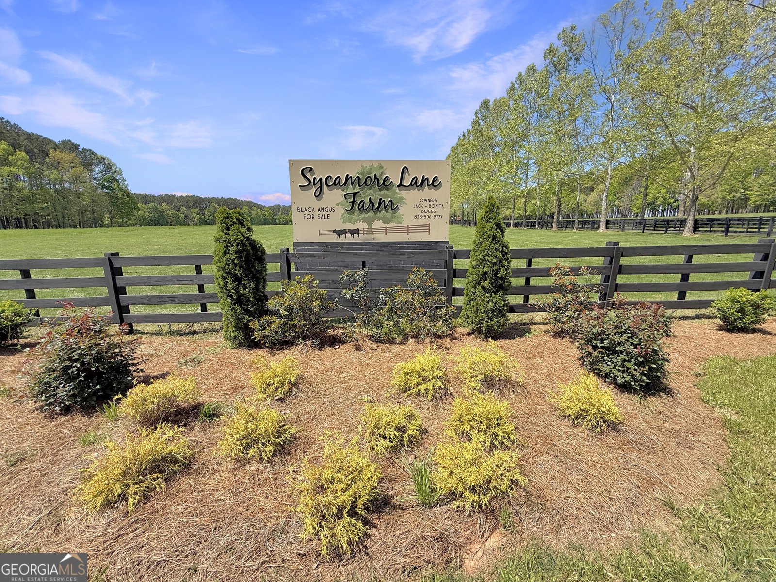 6356 Highway 191 Comer - 78