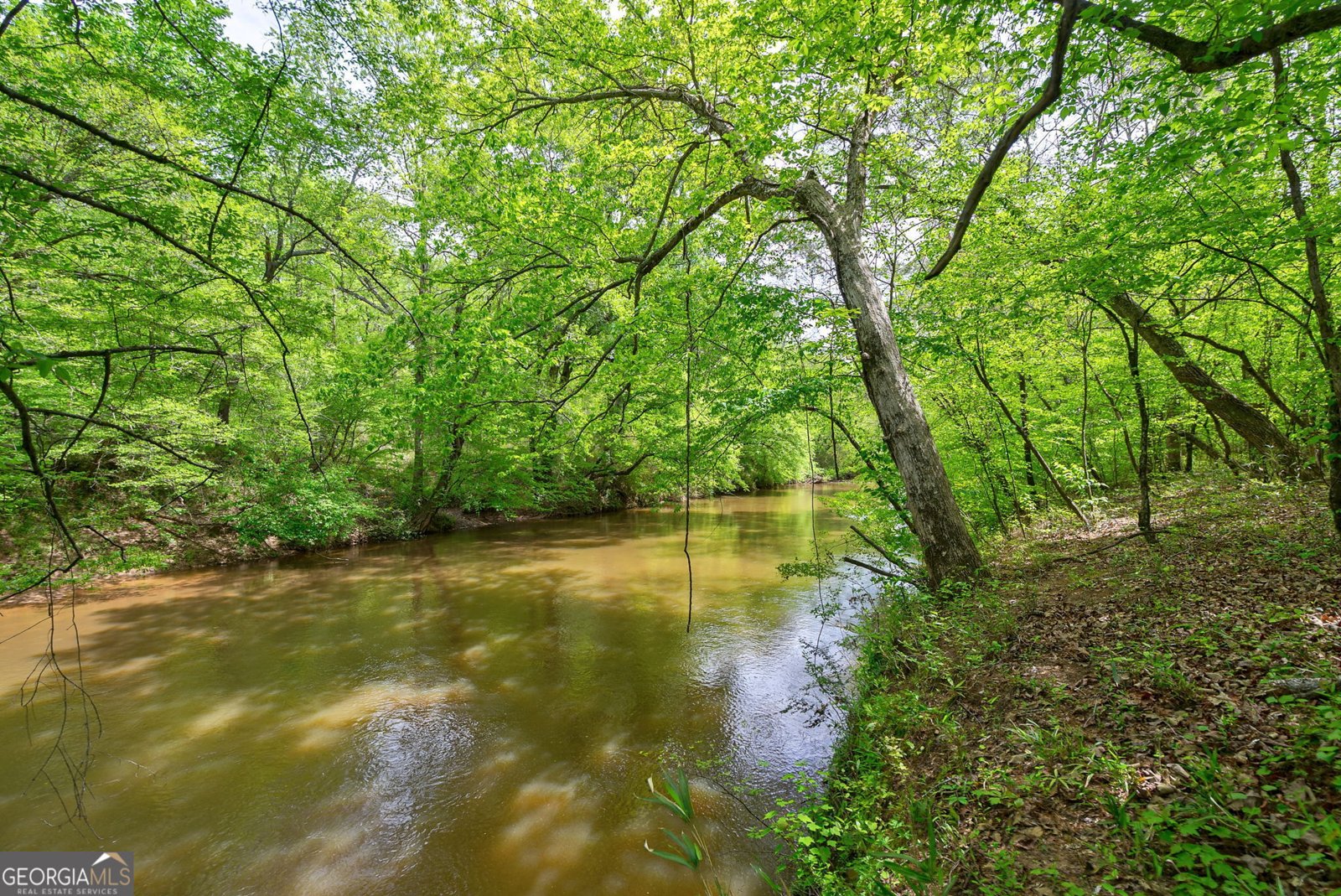 600 Piney Grove Road Comer - 45