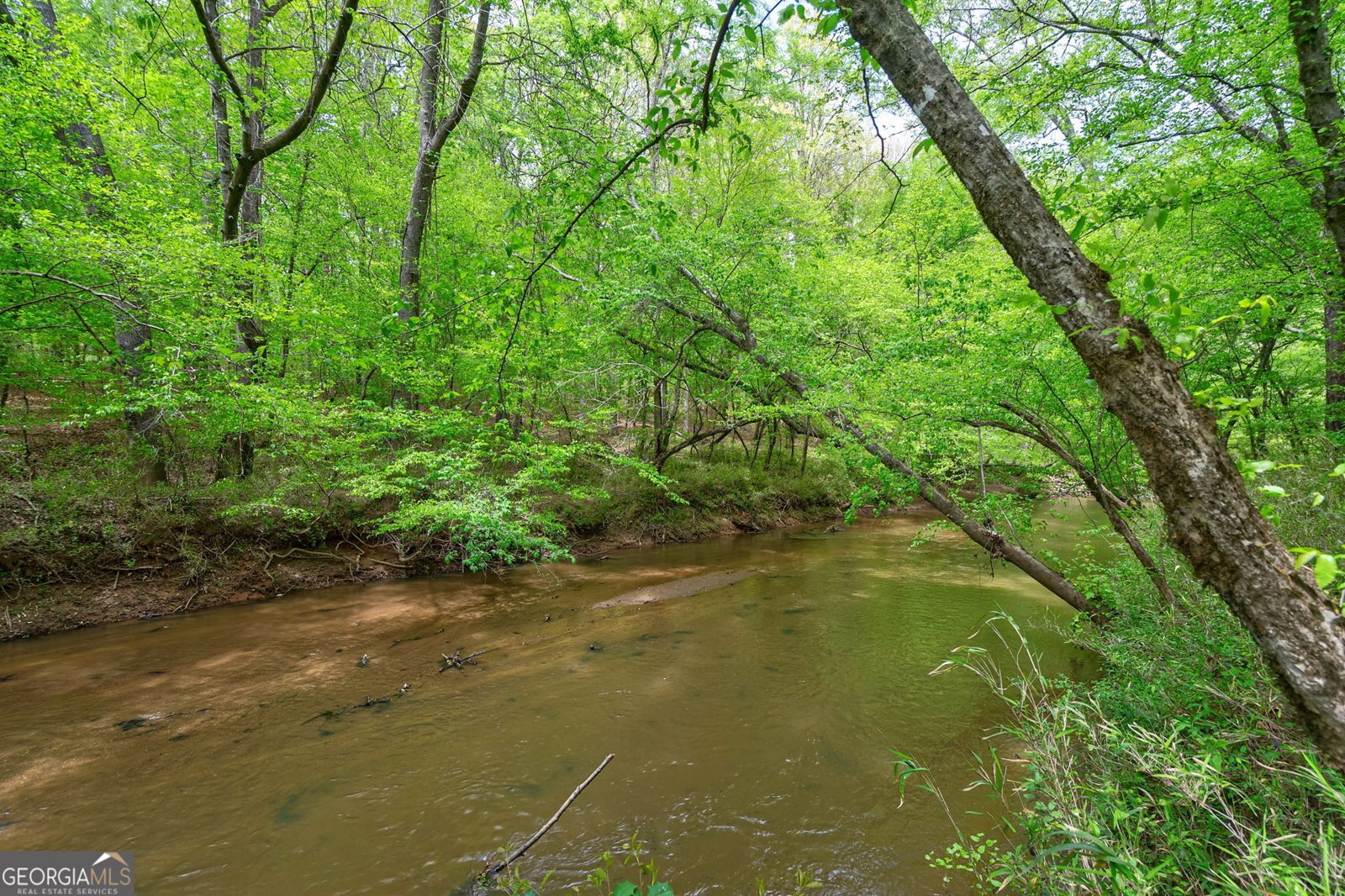 600 Piney Grove Road Comer - 48