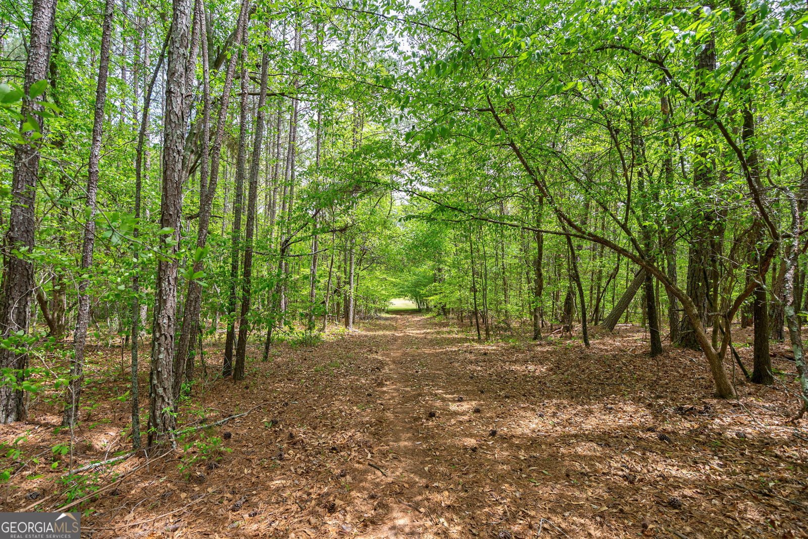 600 Piney Grove Road Comer - 53
