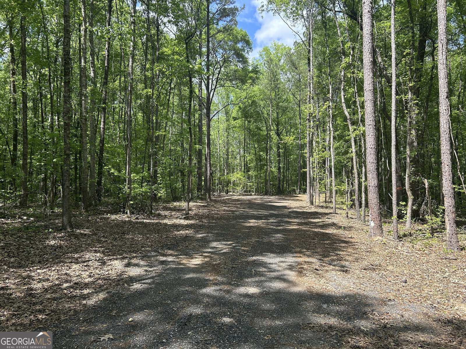 5002 Alvaton Road Gay - 25