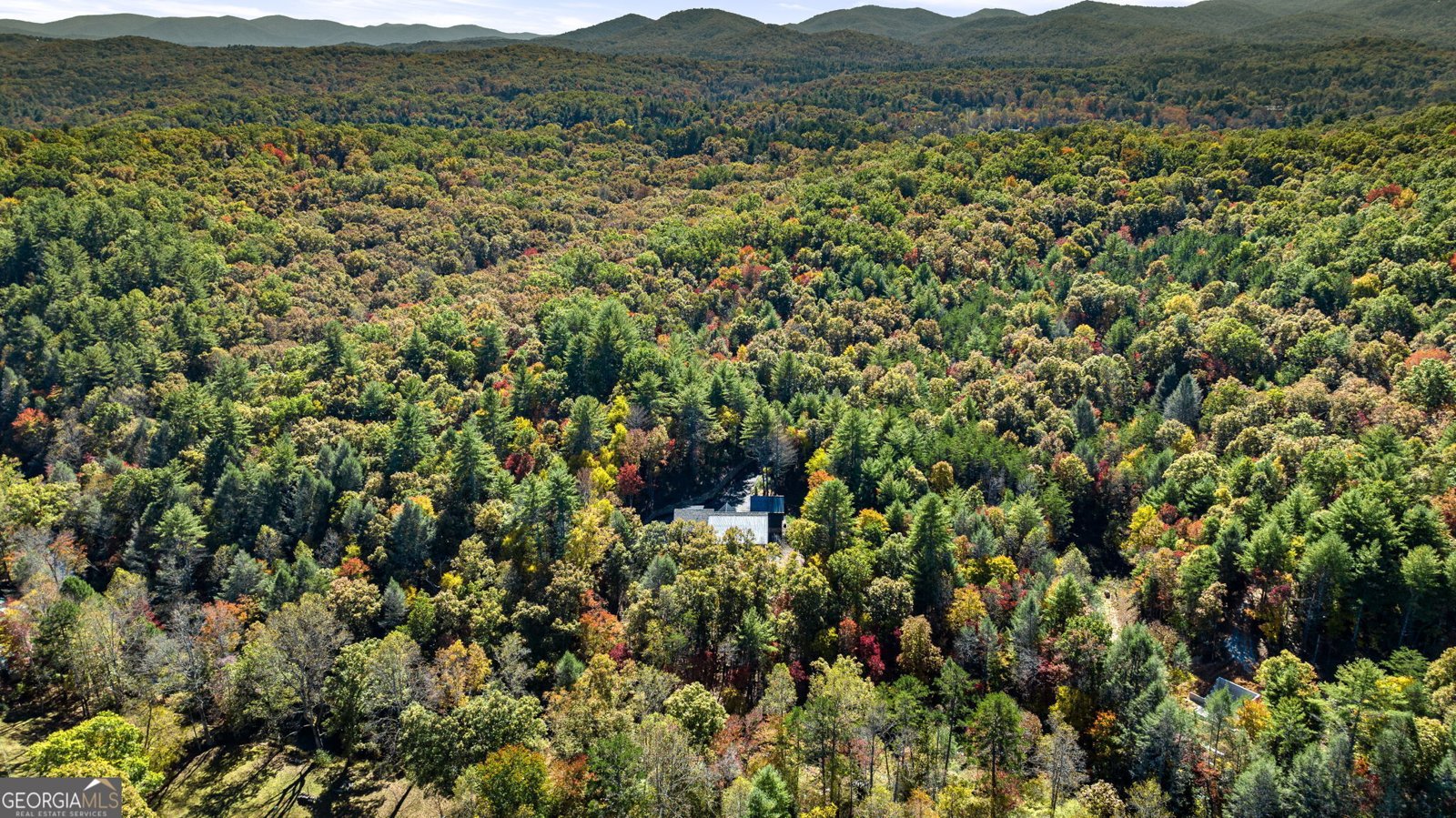 184 Spence Road Blue Ridge - 12