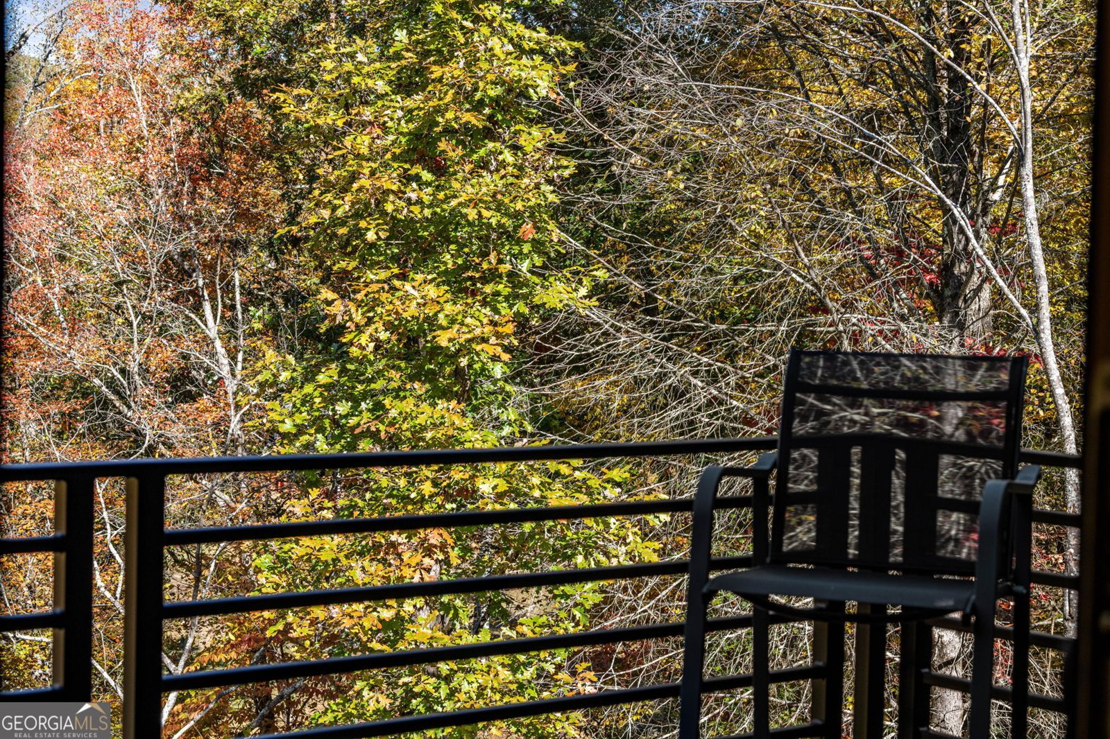 184 Spence Road Blue Ridge - 73