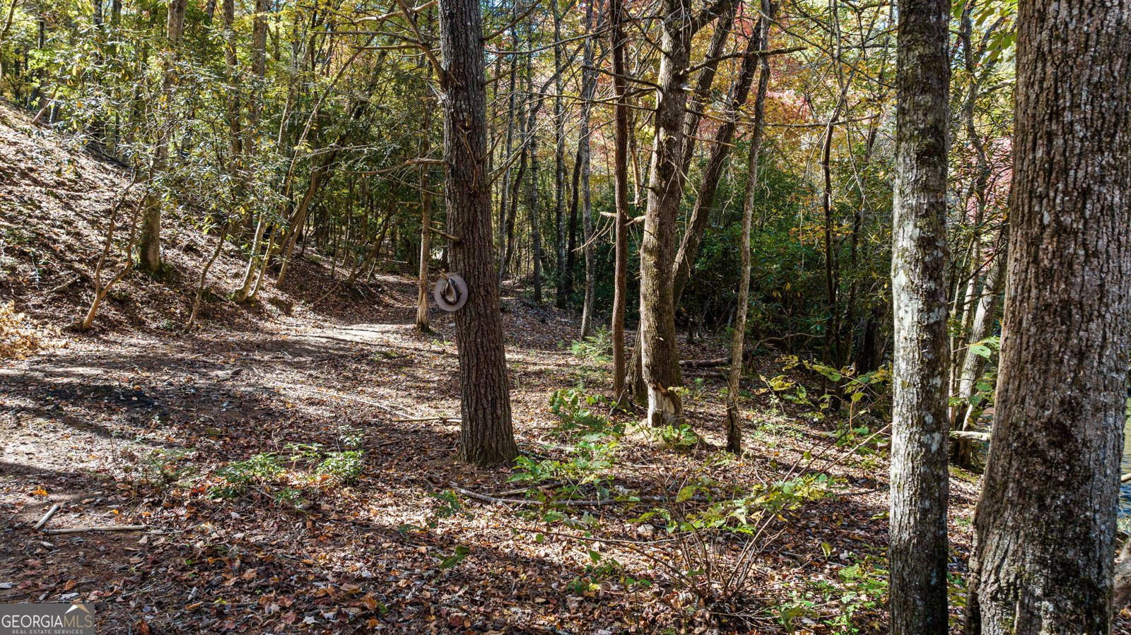 184 Spence Road Blue Ridge - 8