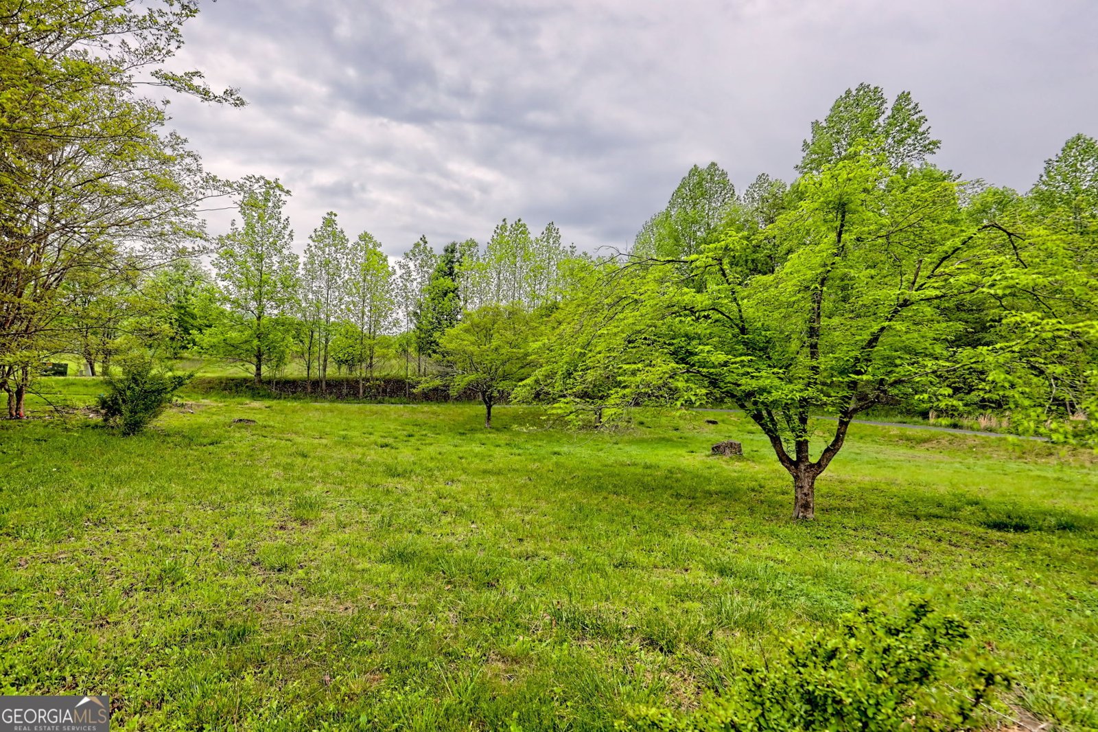 3251 Holland Drive Hiawassee - 44