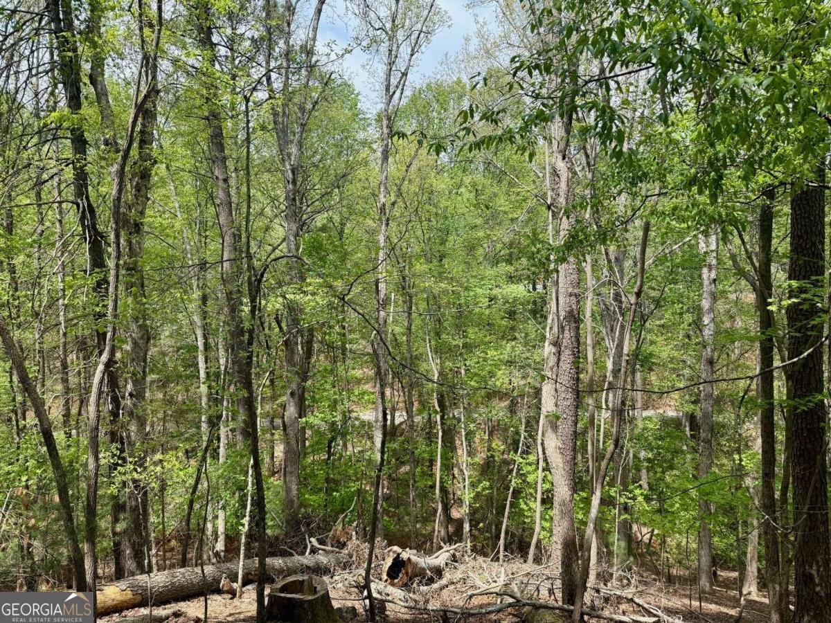 142 33rd Street Ellijay - 4