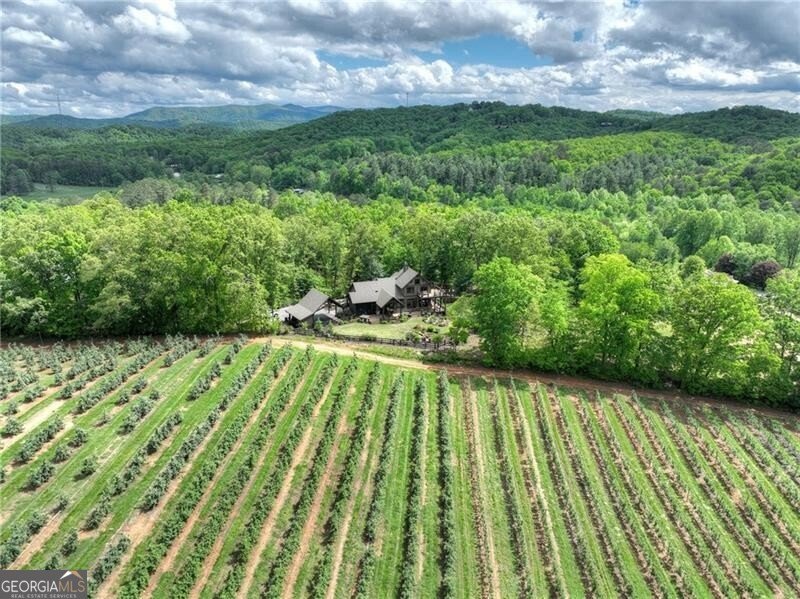 1241 Scenic Drive Blue Ridge - 2