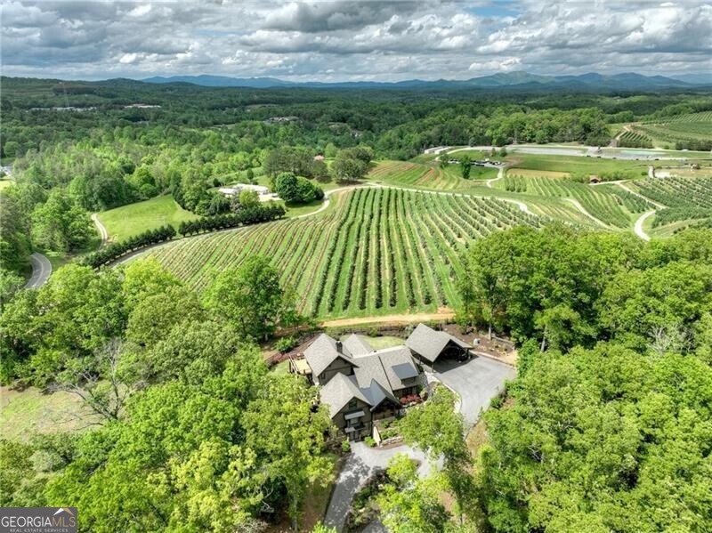 1241 Scenic Drive Blue Ridge - 3