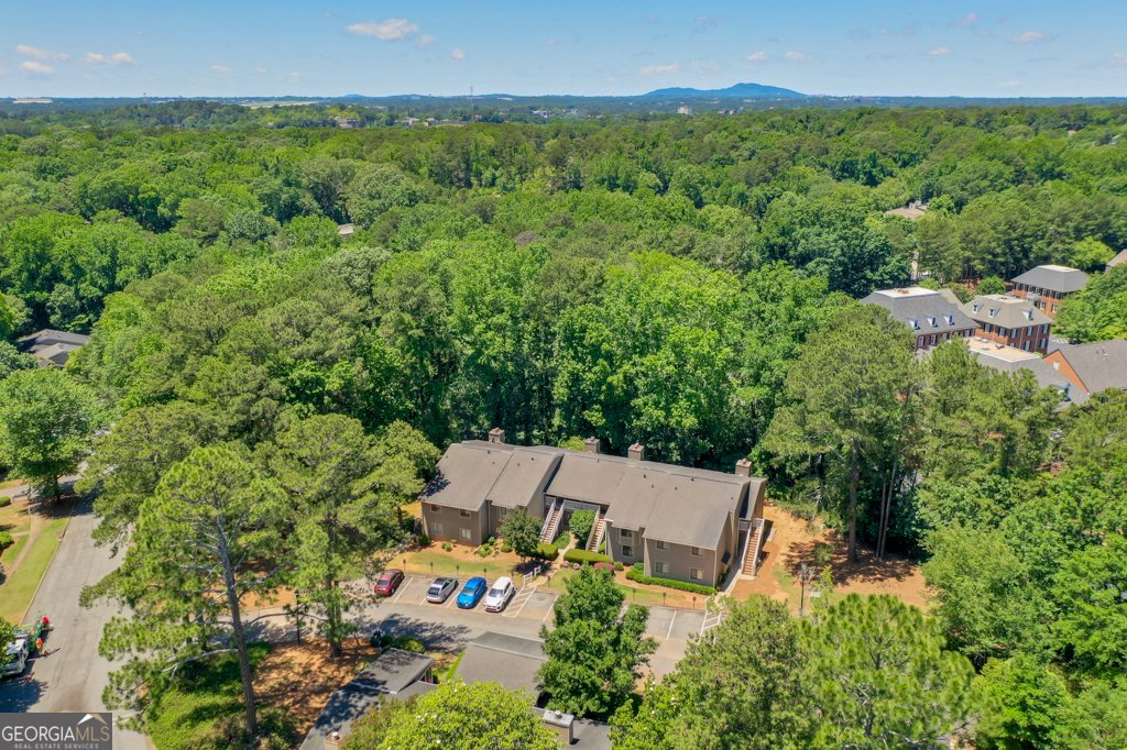2937 Torreya Way Marietta - 17
