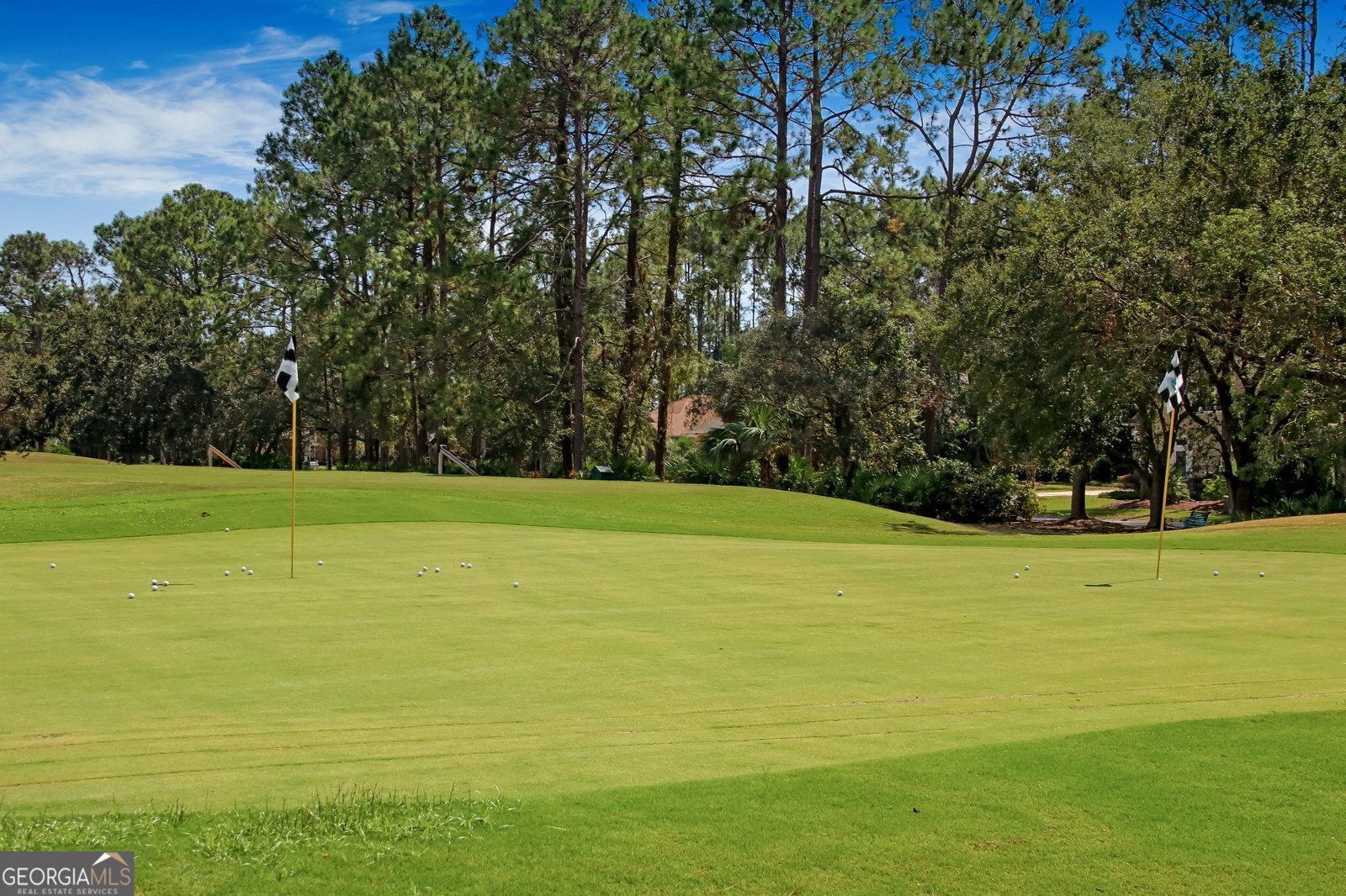 268 Osprey Circle St. Marys - 77