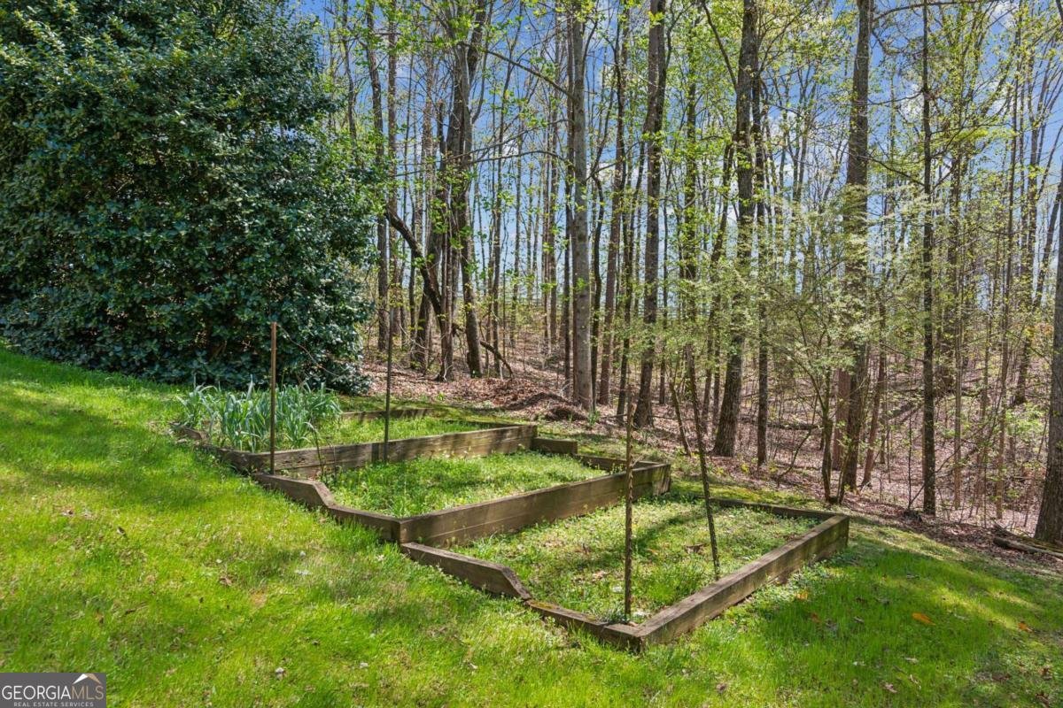 974 cowart mountain Road Jasper - 10
