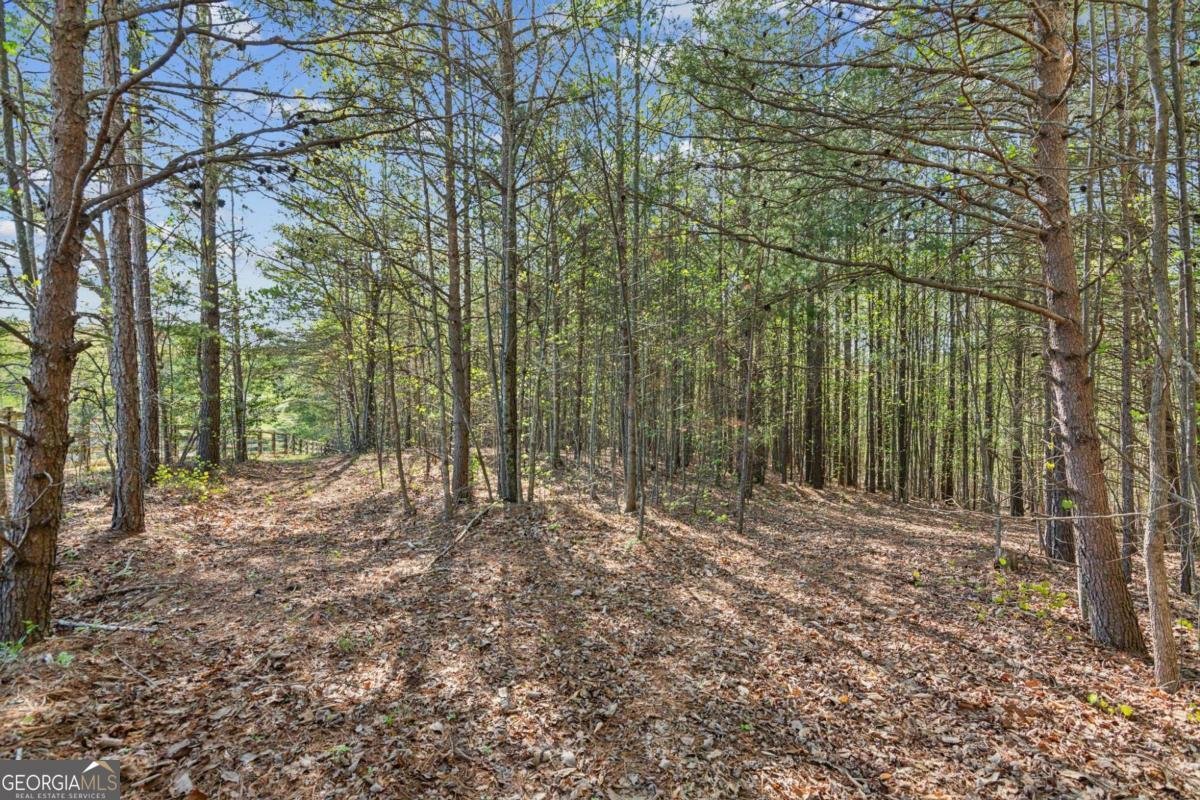 974 cowart mountain Road Jasper - 73
