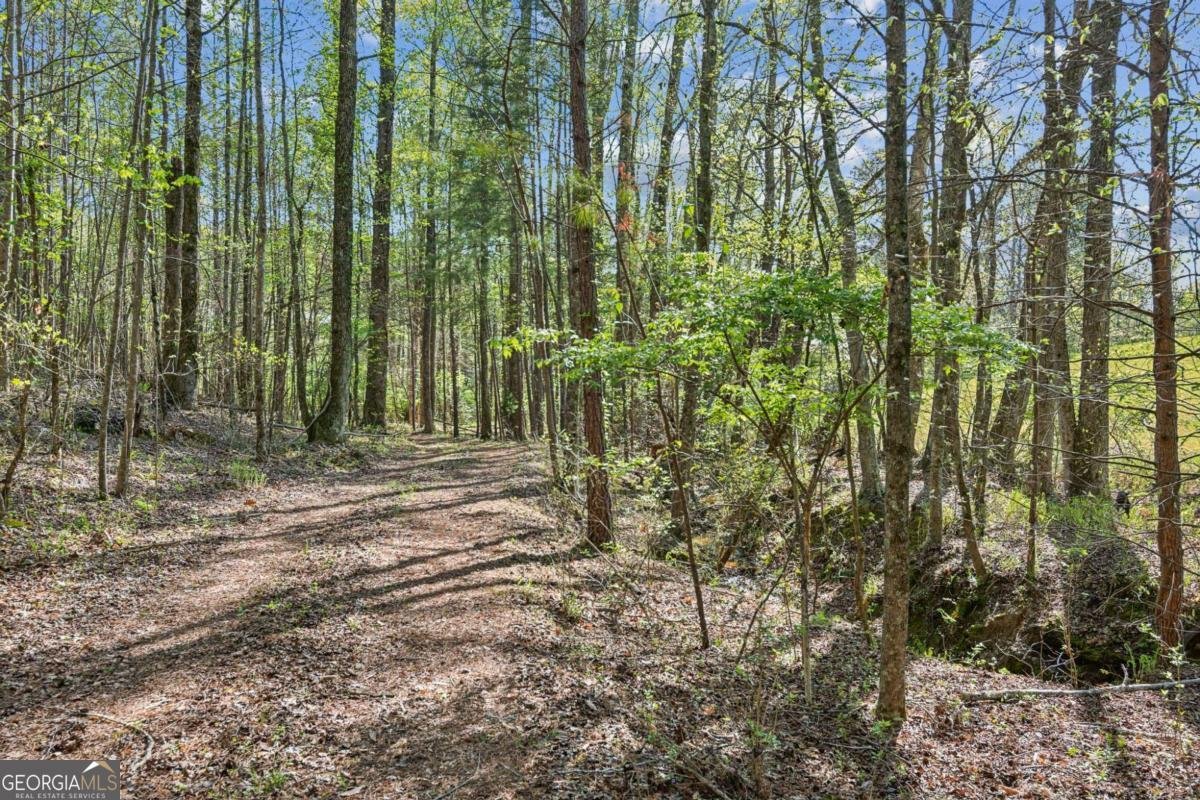 974 cowart mountain Road Jasper - 74