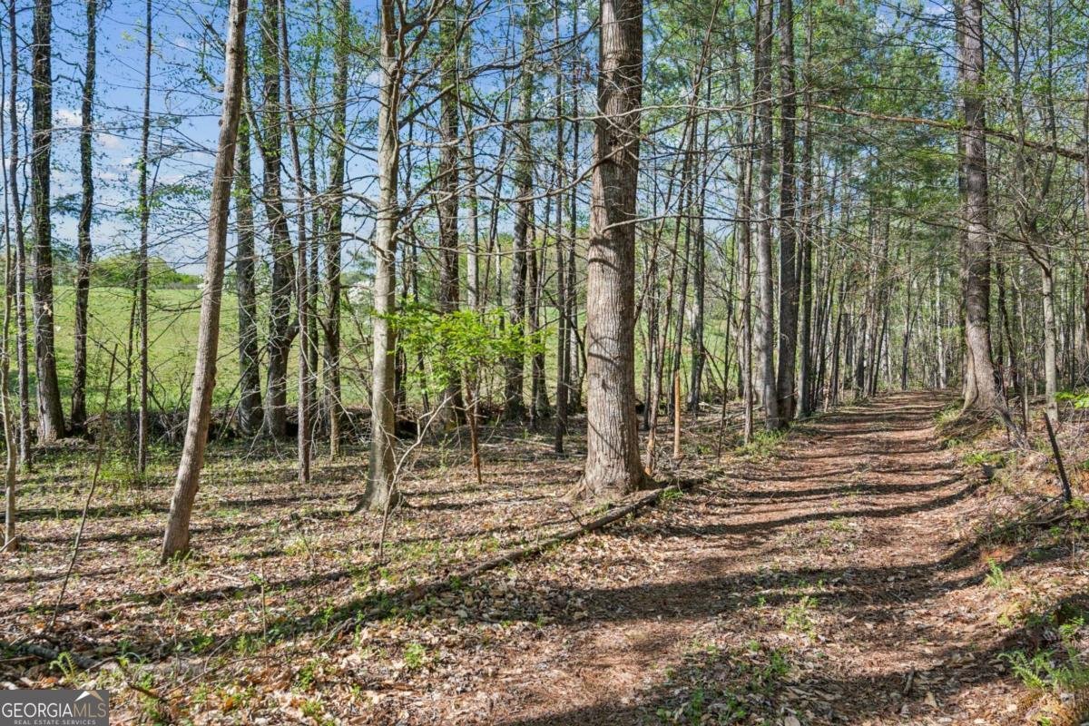 974 cowart mountain Road Jasper - 75