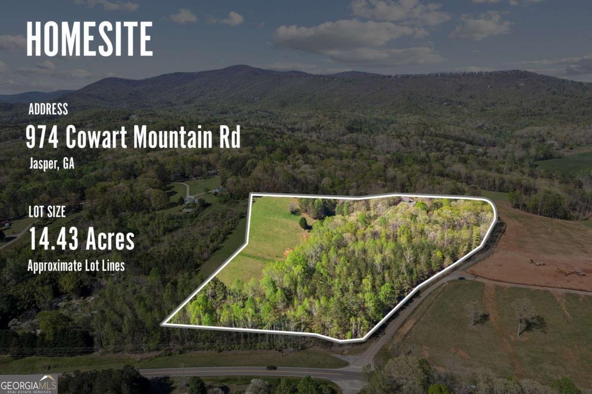 974 cowart mountain Road Jasper - 81