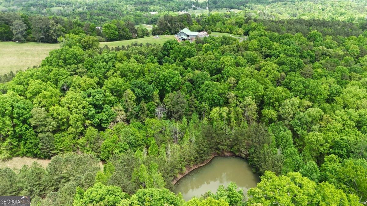 1656 Highway 140 Adairsville - 49