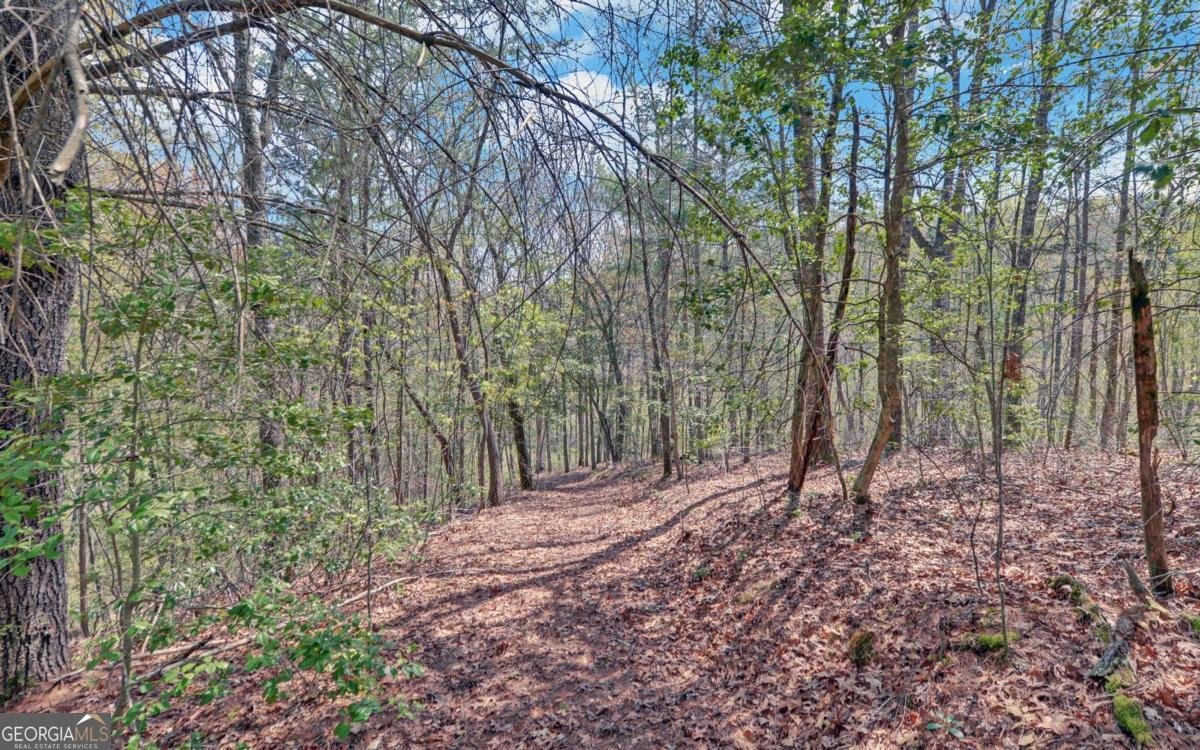 202 Dove Lane Morganton - 74