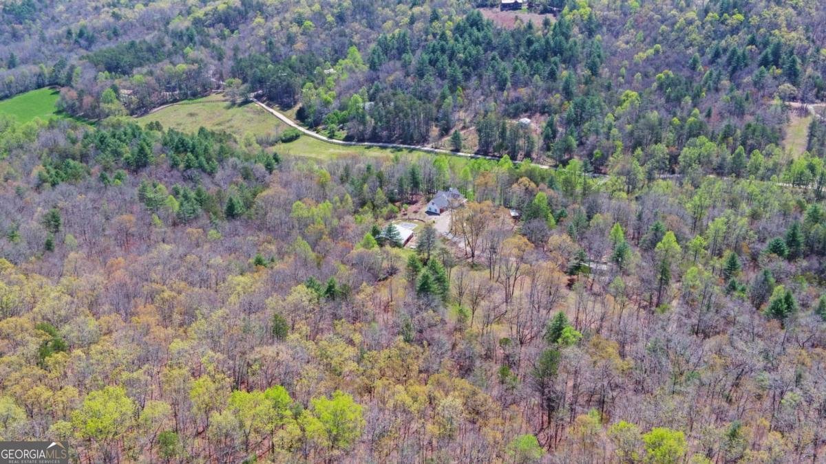 202 Dove Lane Morganton - 87