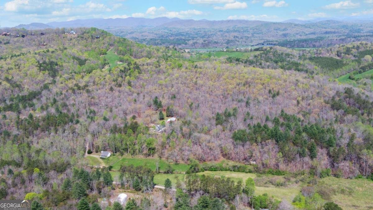 202 Dove Lane Morganton - 93