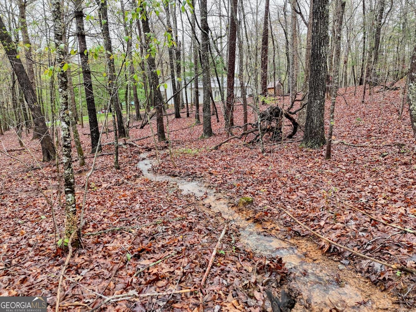 61 Lee Harkins Road Blairsville - 29