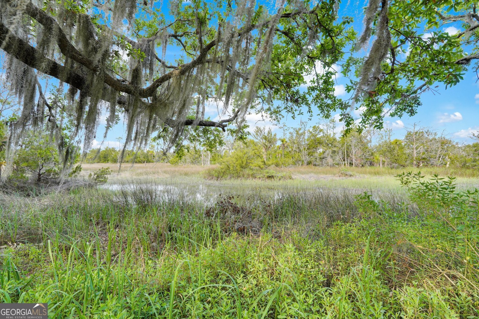 45 45 Herons Nest Savannah - 2